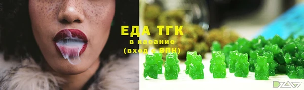 индика Киренск