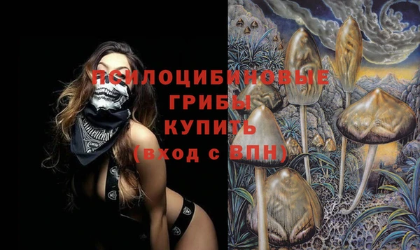 сатива Абинск
