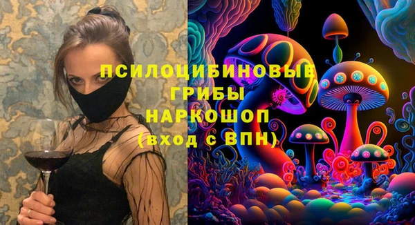 спиды Абаза