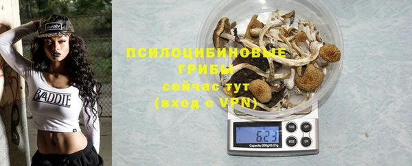спиды Абаза